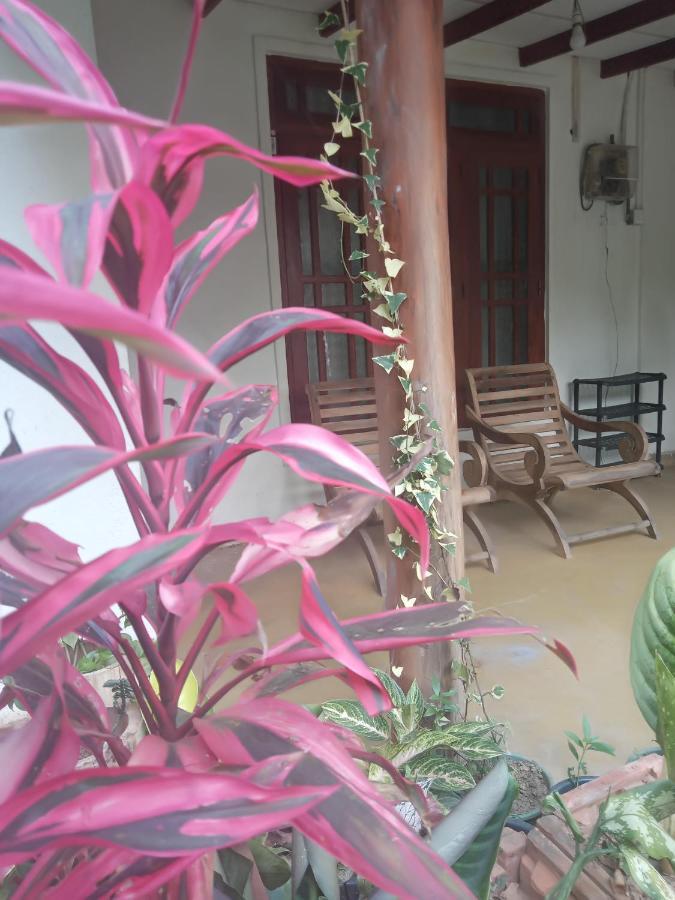 Supipi Homestay Ella Exterior photo